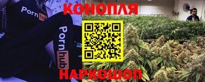 прущие крисы Канаш